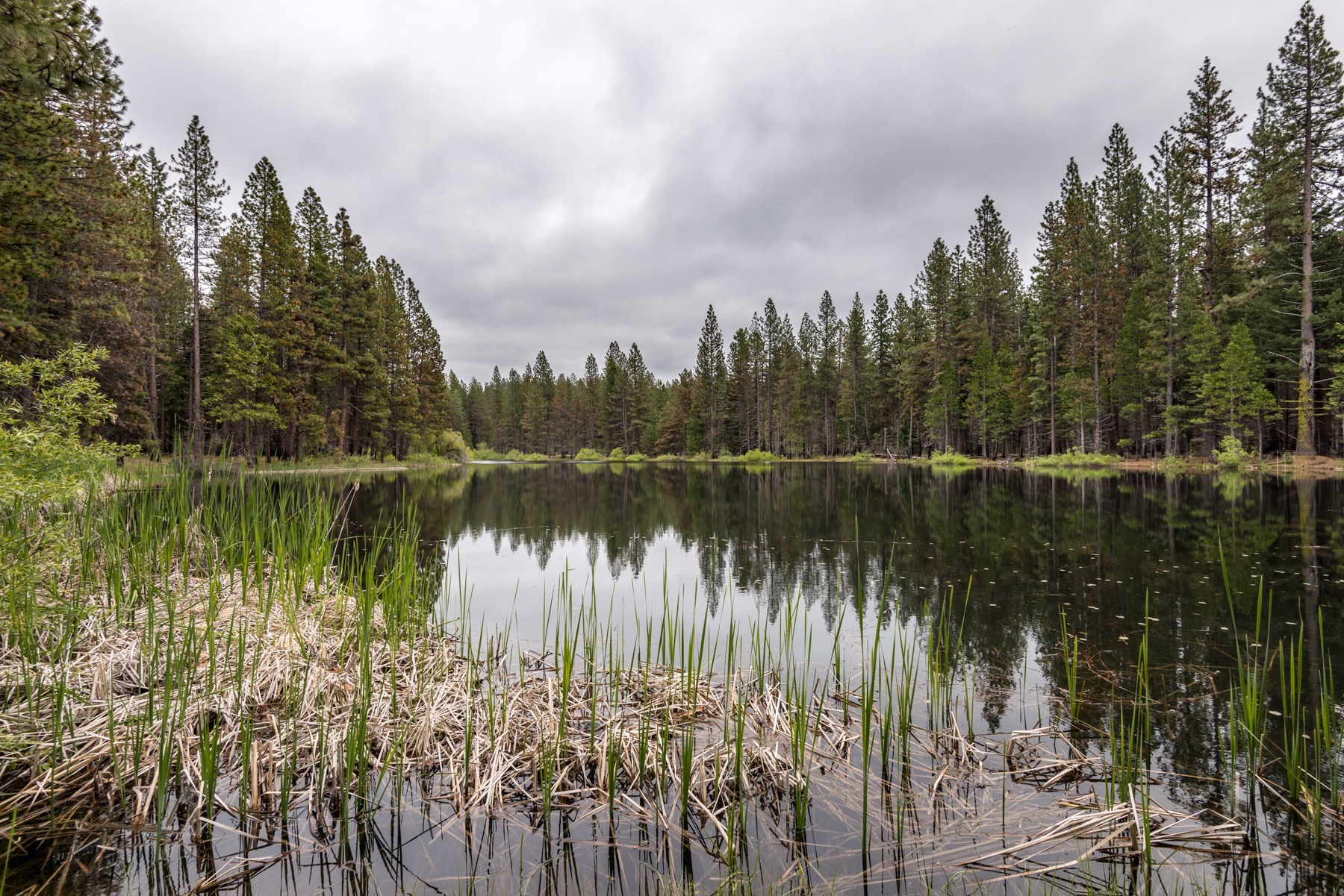 Gravel Pit Lake